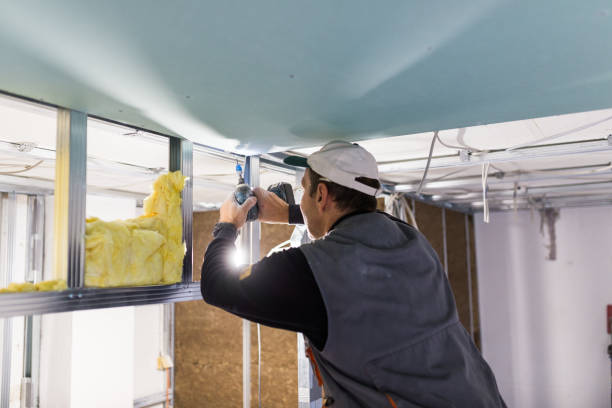 Best Insulation for Specific Applications in Csar Chvez, TX