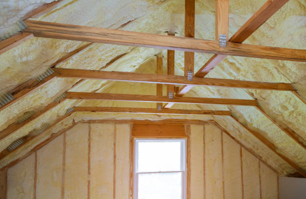 Best Residential Insulation in Csar Chvez, TX