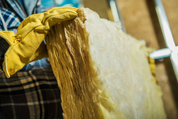 Professional Insulation Contractor in Csar Chvez, TX