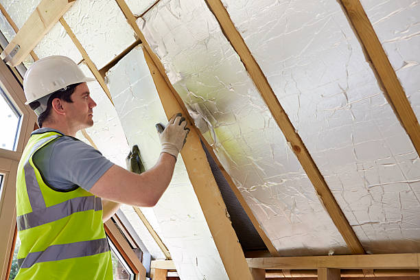 Best Specialized Insulation Services in Csar Chvez, TX